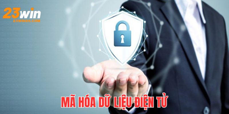 Chúng tôi mã hóa tất cả dữ liệu bằng công nghệ SSL hiện đại